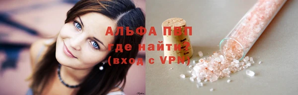 дмт Богданович