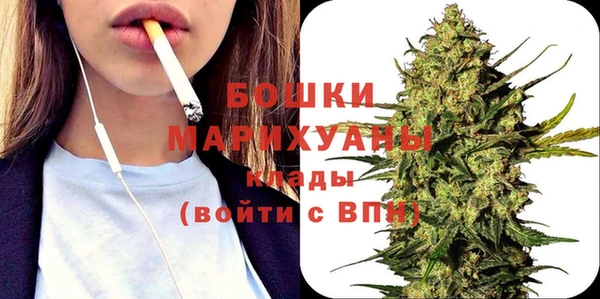 дмт Богданович