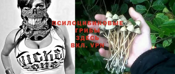 дмт Богданович