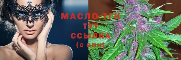 дмт Богданович