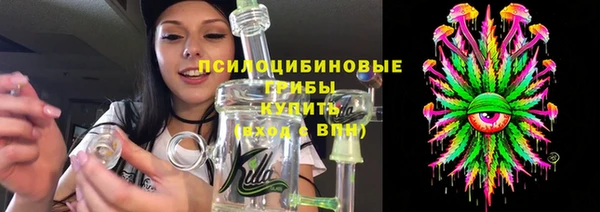 дмт Богданович