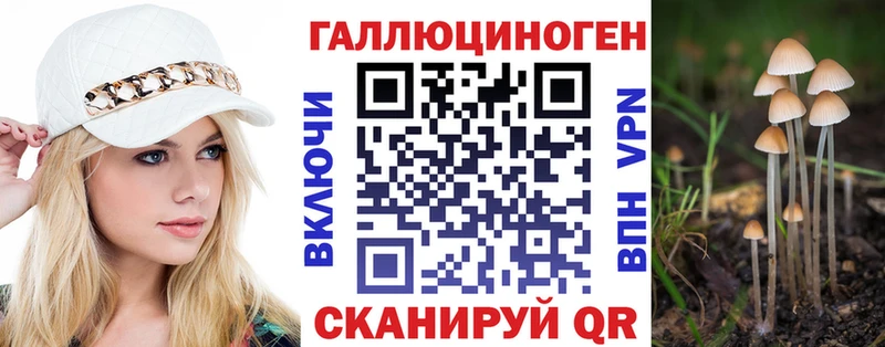 Галлюциногенные грибы Cubensis Бронницы
